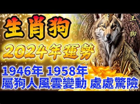 1958 生肖|1958年属什么生肖？1958年生肖属相是狗